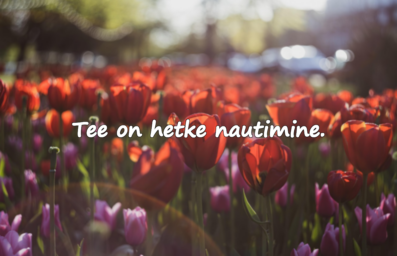Tsiteerib tee kohta