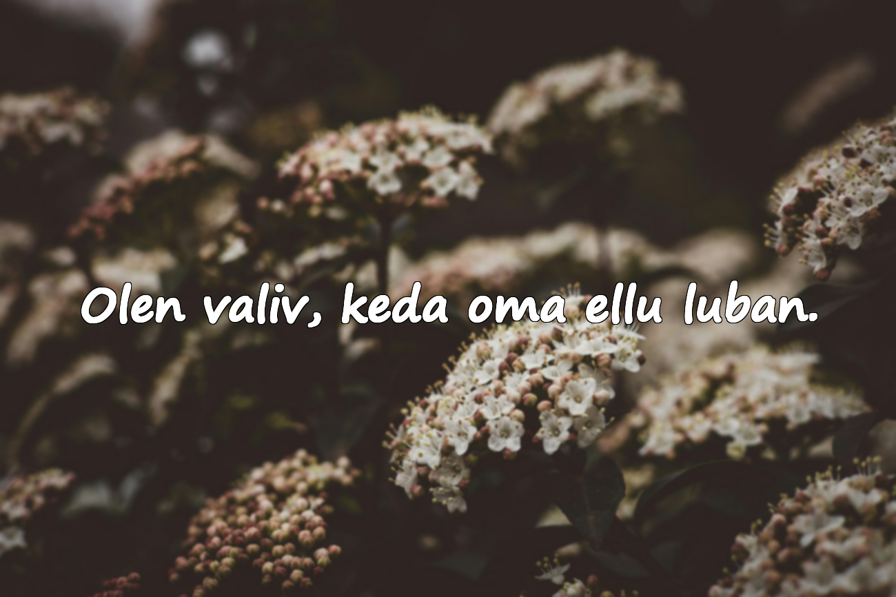 Tulised Sõnad