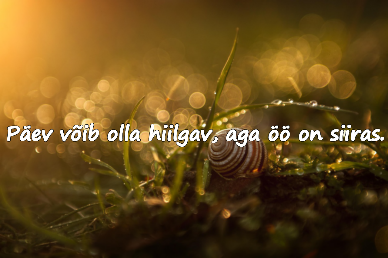 Tumedusega Seotud Tsitaadid
