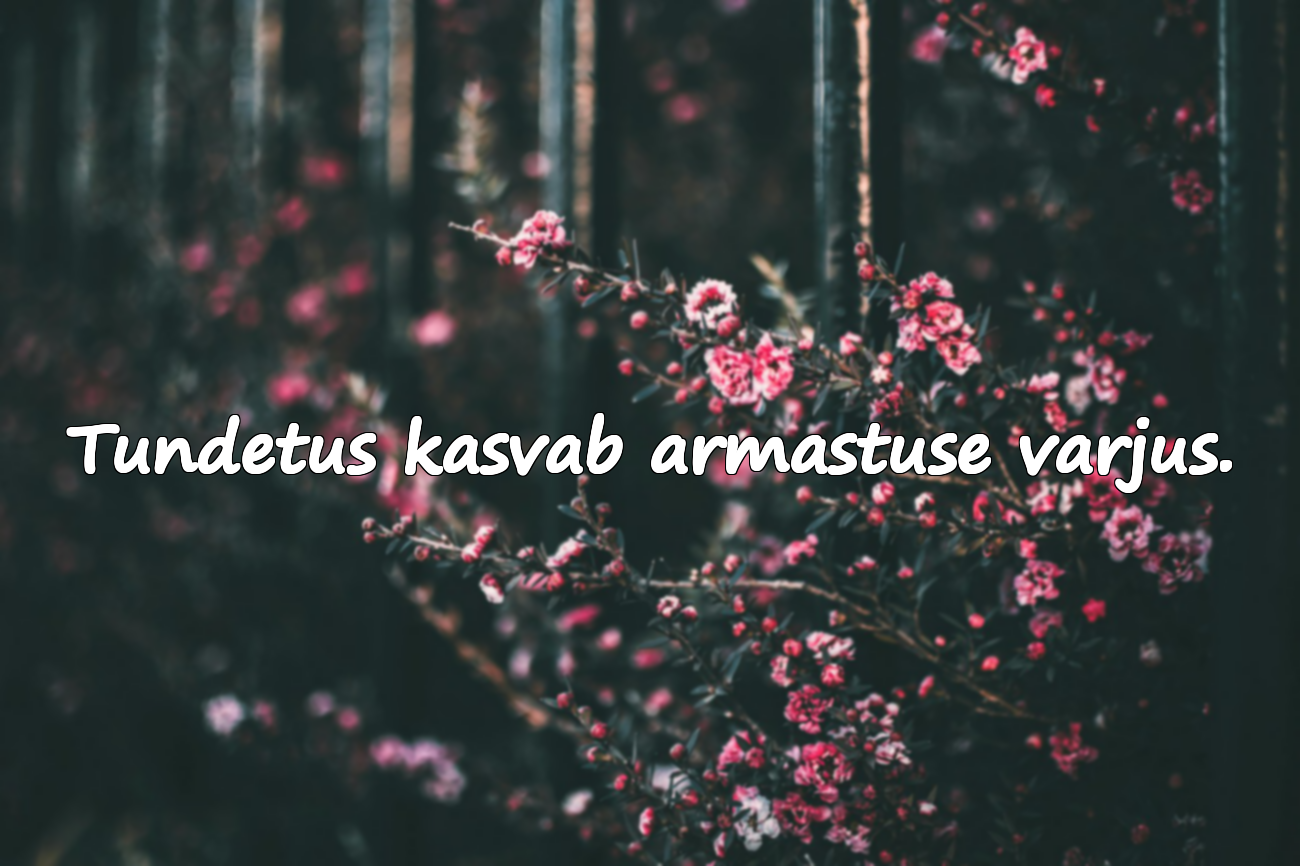 Tundetus kasvab armastuse varjus.