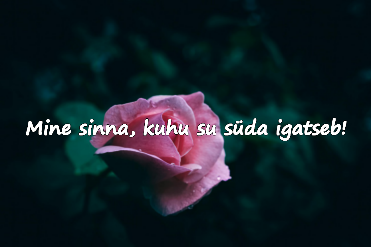 Mine sinna, kuhu su süda igatseb!