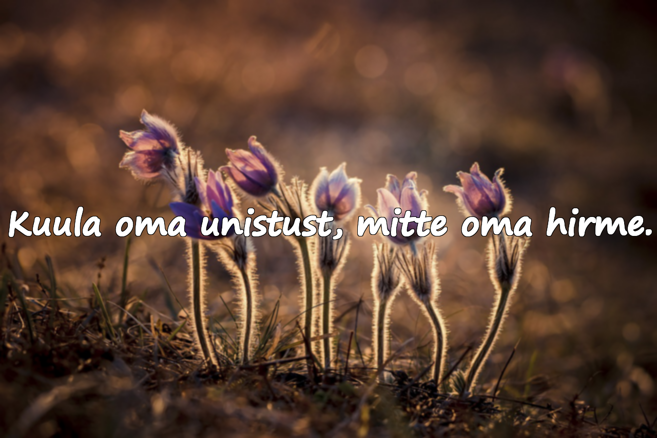 Unistustega seotud tsitaadid