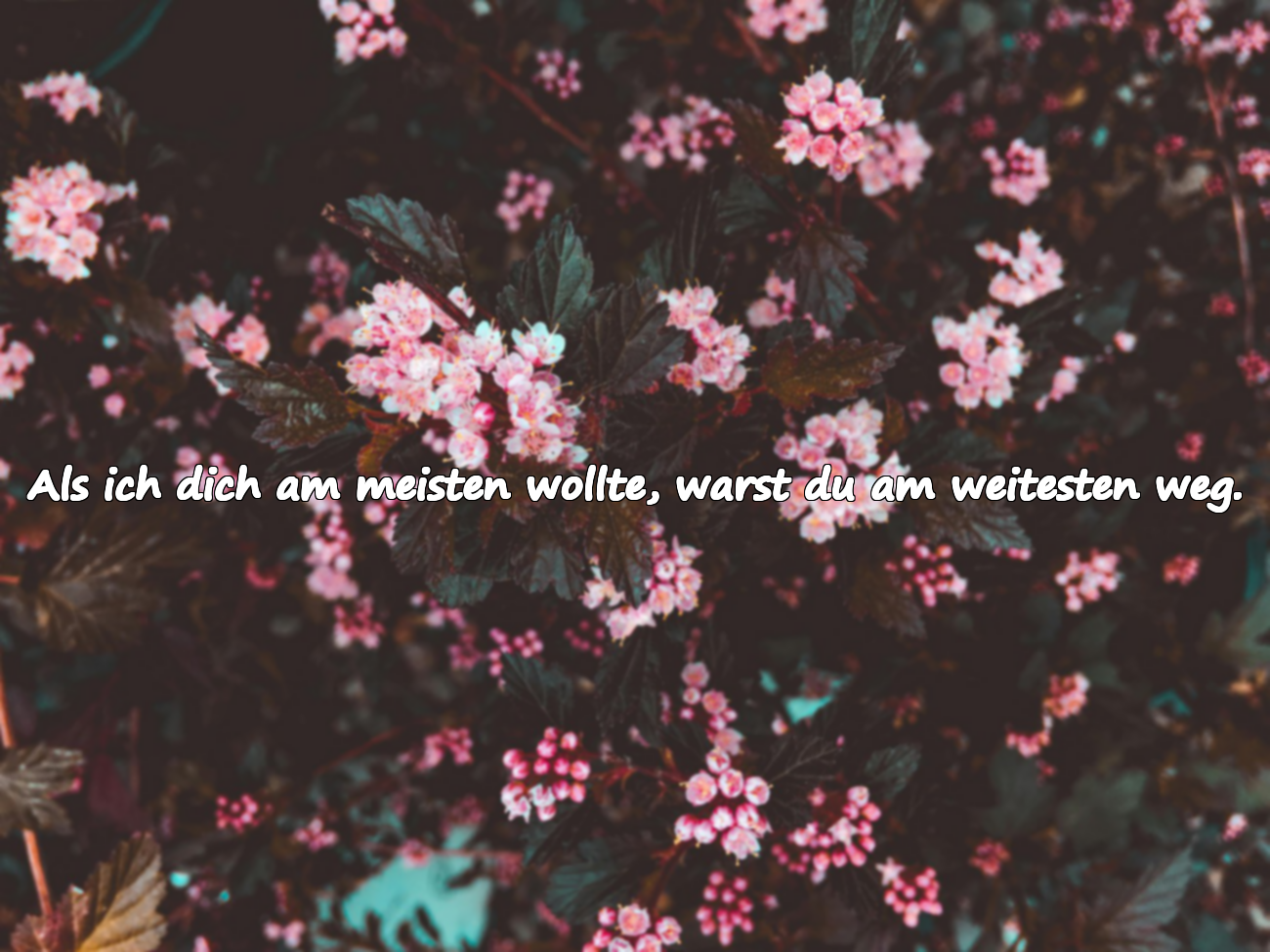 Unmögliche Liebessprüche