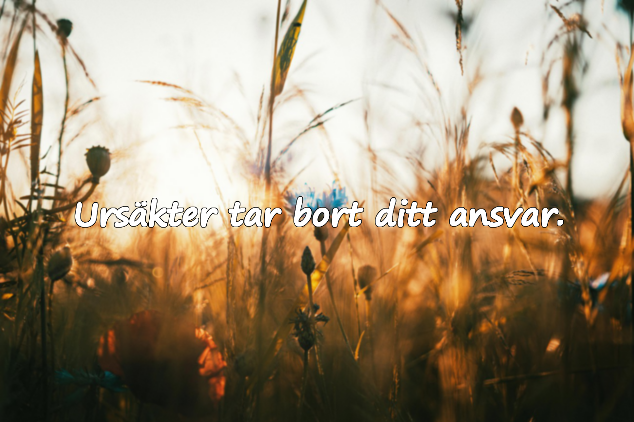 Ursäkter och Handling