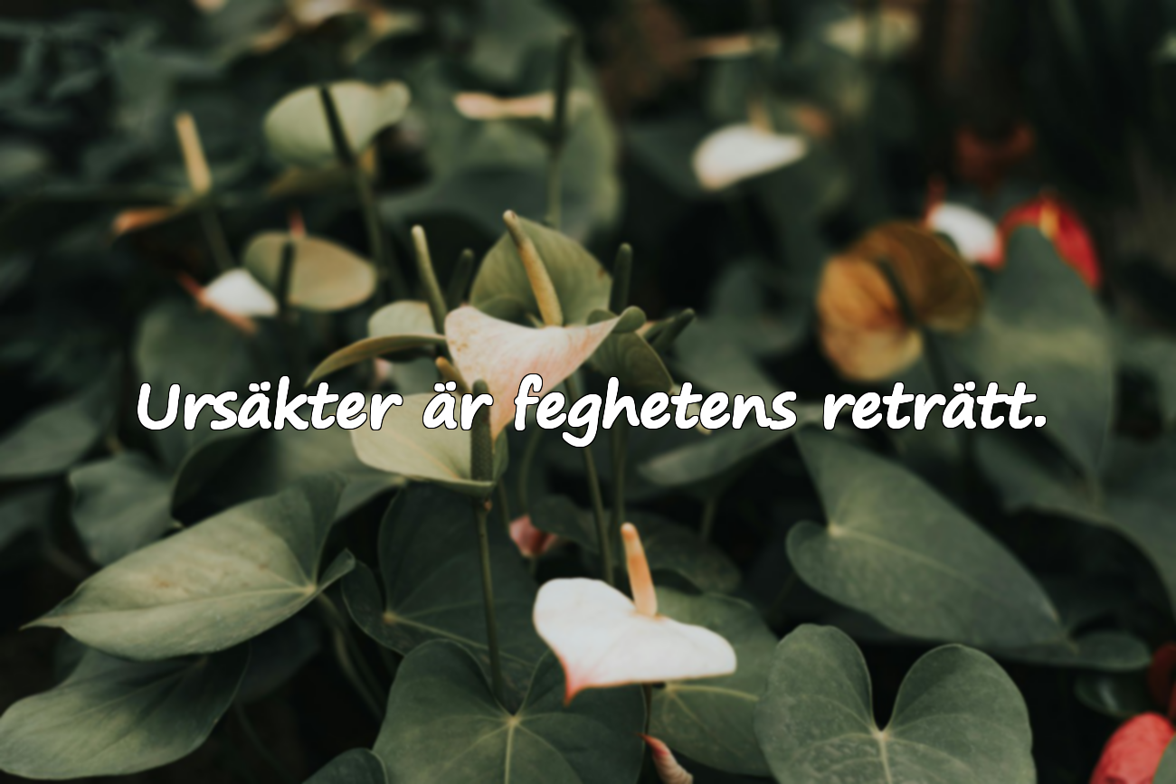 Ursäkter och Handling