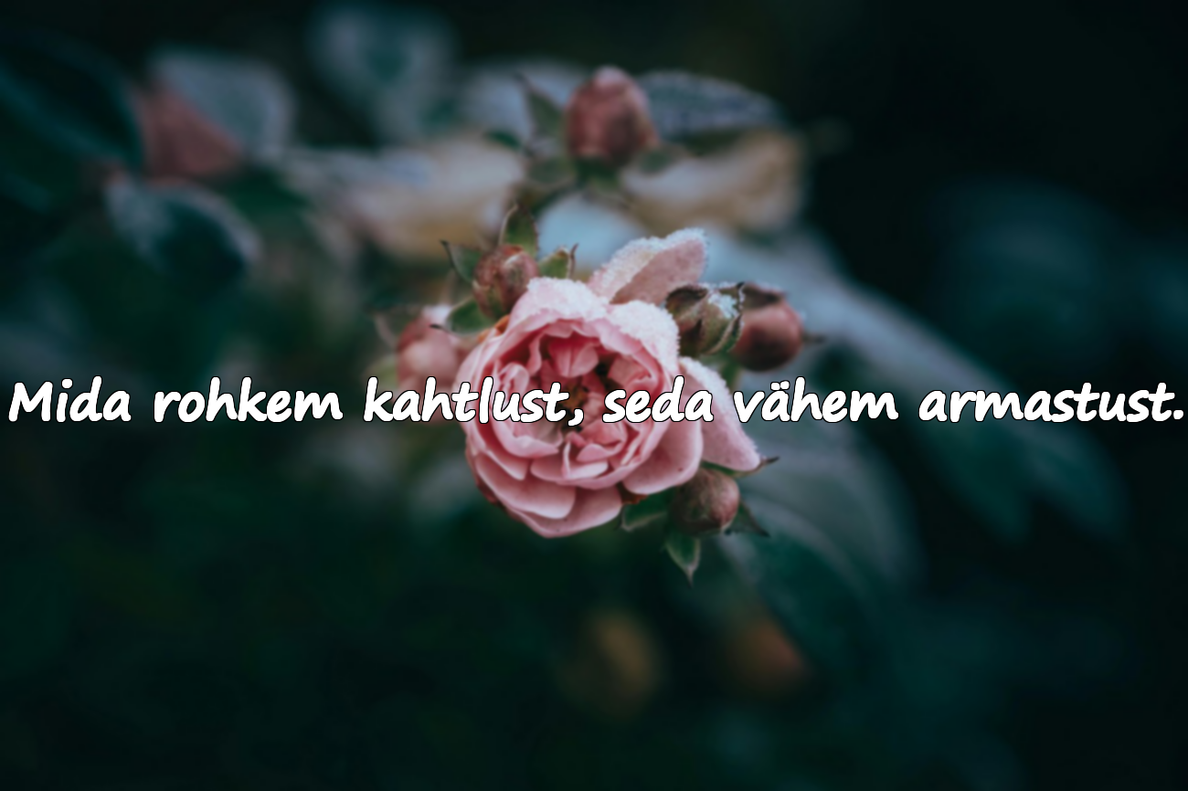 Usaldamatusega Seotud Mõtted