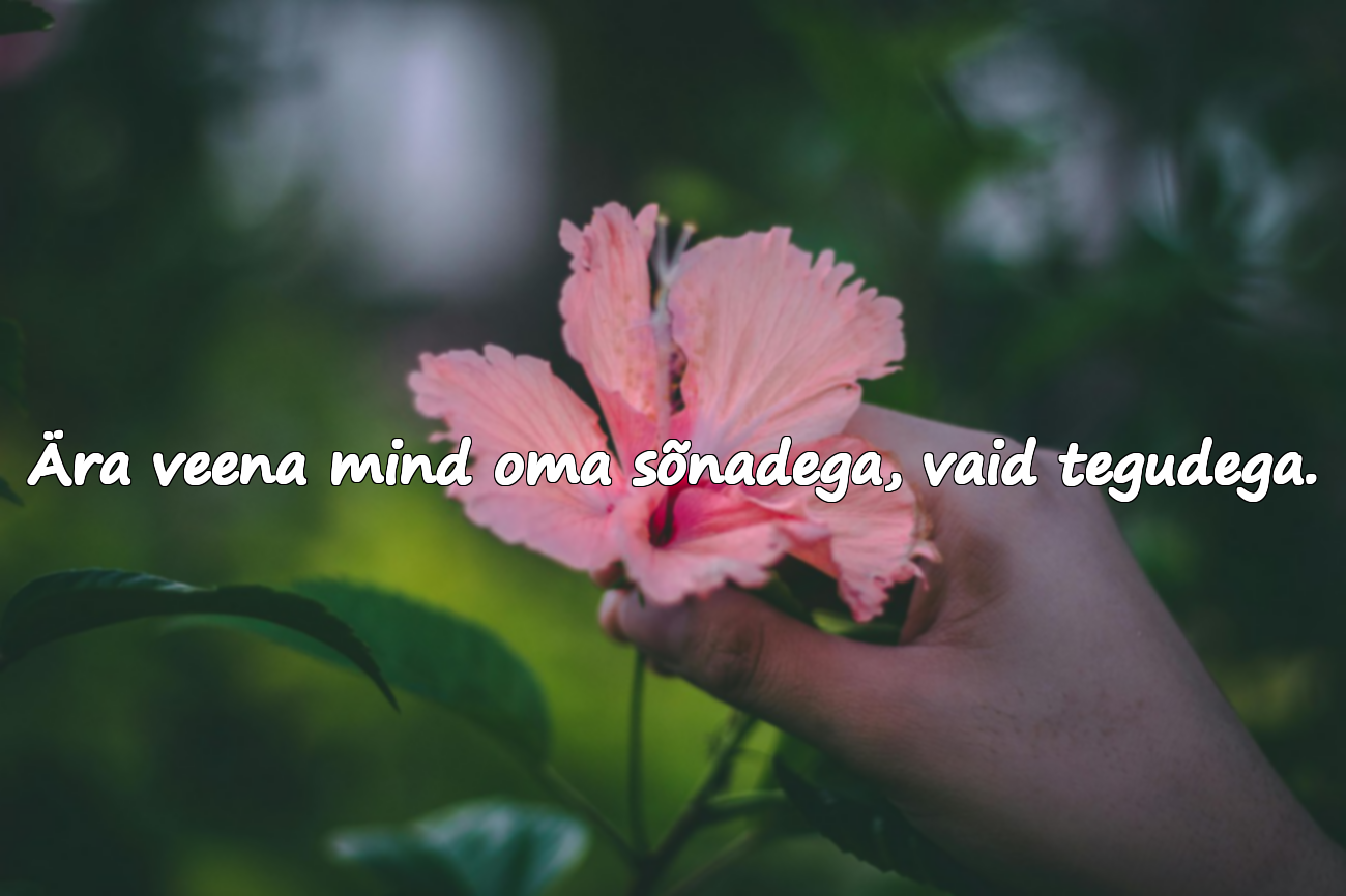 Usaldamatusega Seotud Mõtted