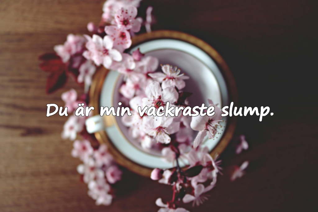 Väggcitat – Kärlekstema