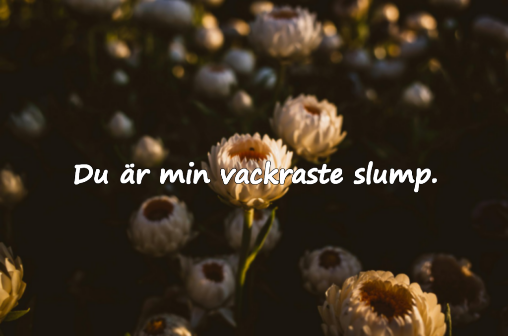 Väggcitat – Kärlekstema