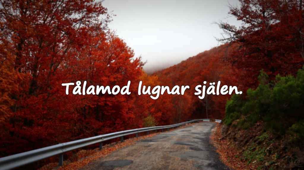 Tålamod lugnar själen.