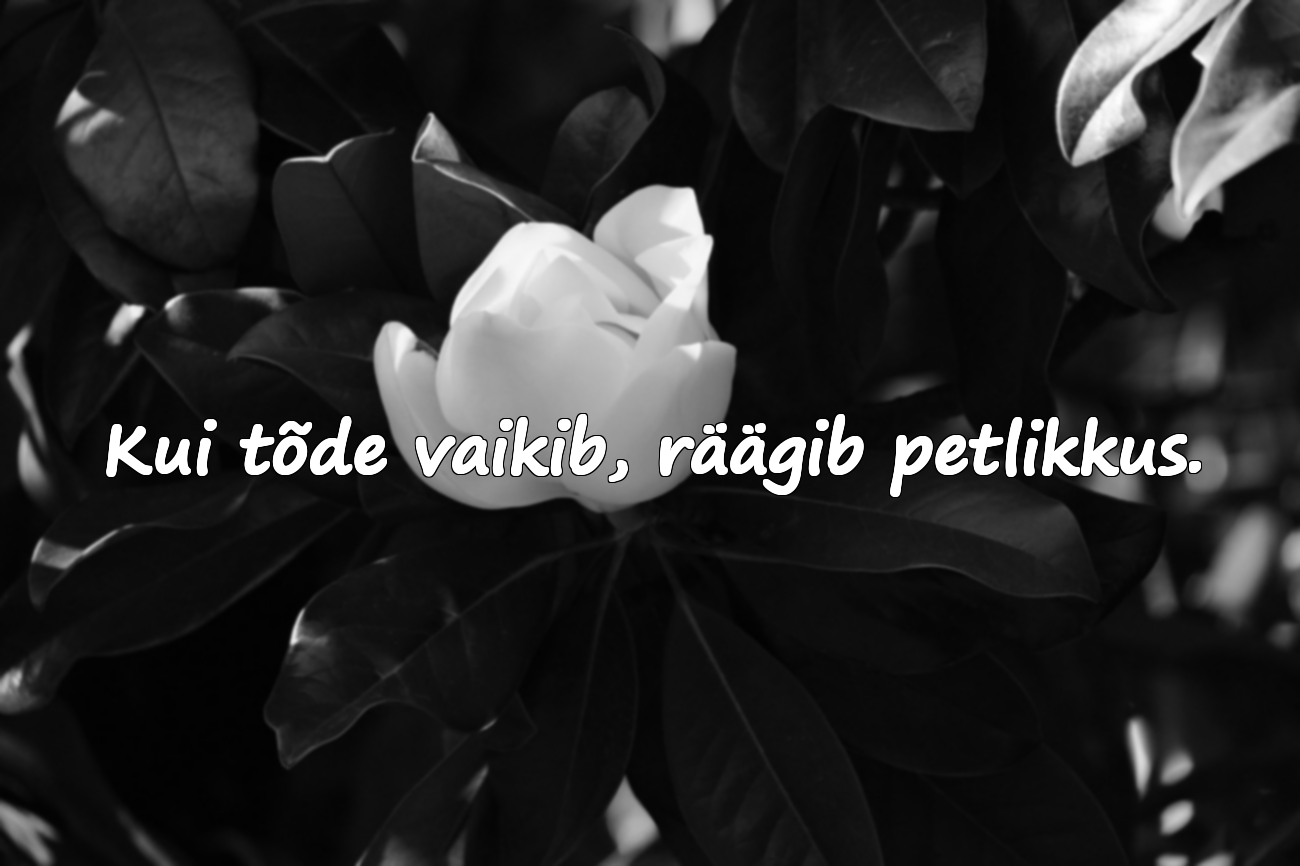 Võltside inimeste tsitaadid