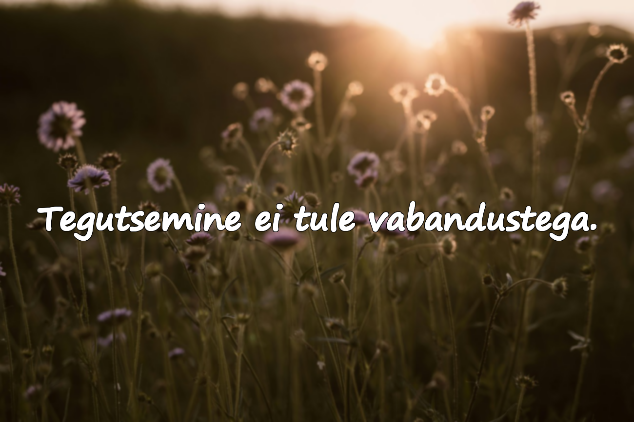 Vabandused ja Tegutsemine