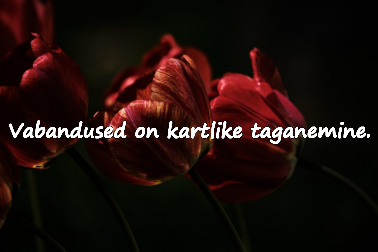 Vabandused ja Tegutsemine