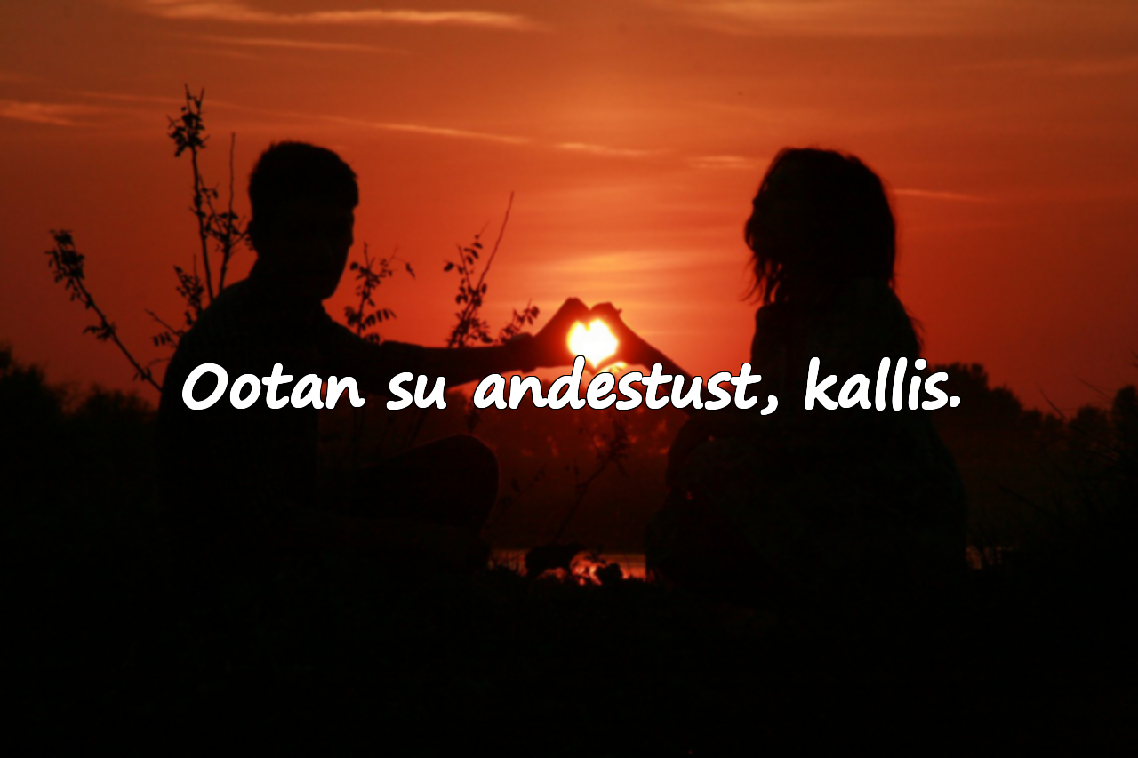 Vabandussõnad kallimale