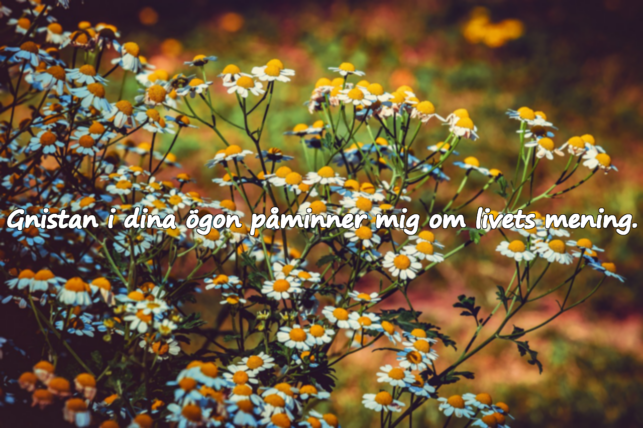 Gnistan i dina ögon påminner mig om livets mening.