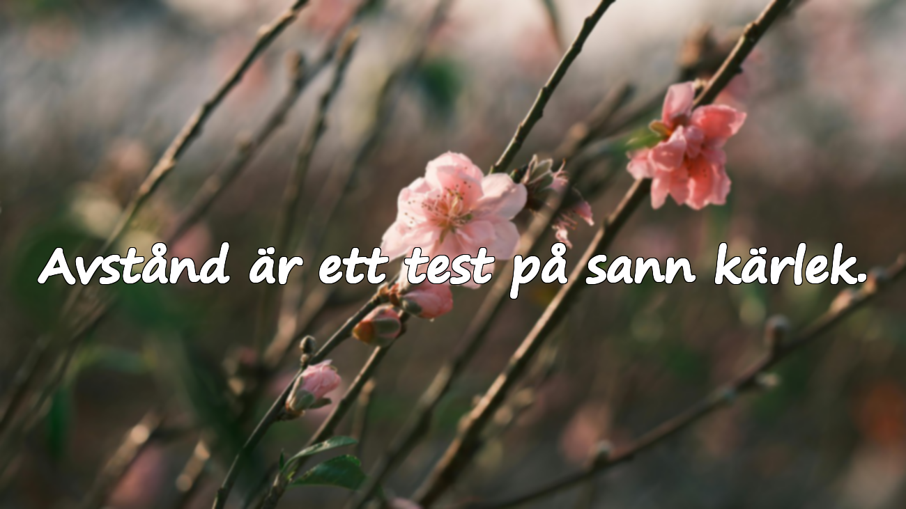 Vackra citat om att älska på distans
