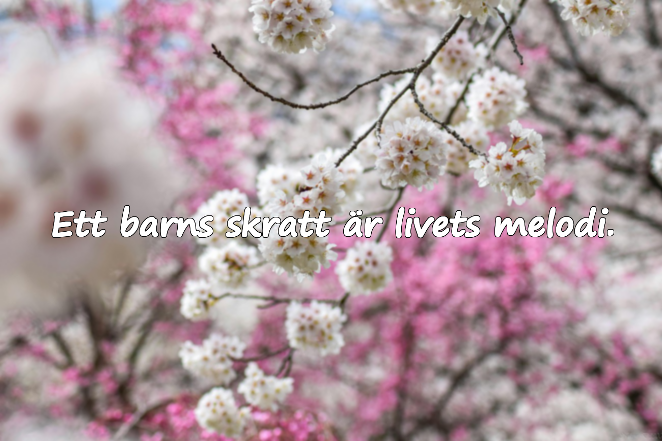 Vackra citat om barn