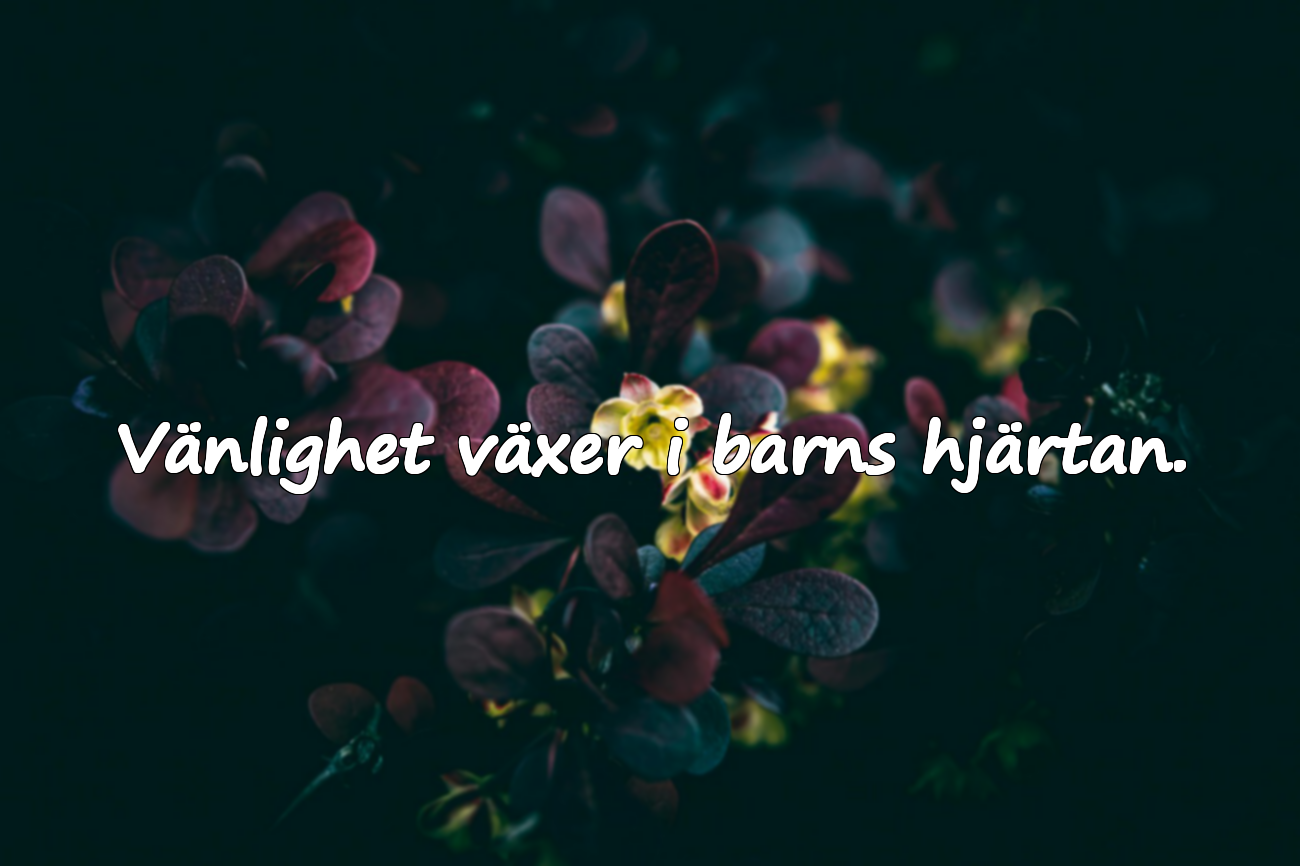 Vackra citat om barn