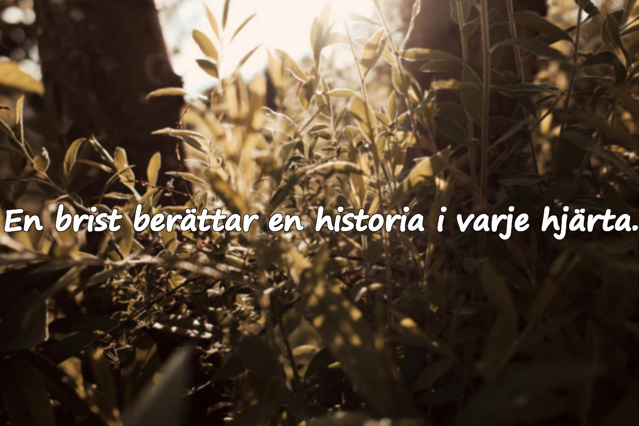 Vackra citat om brister