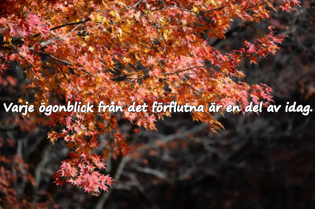 Vackra citat om det förflutna