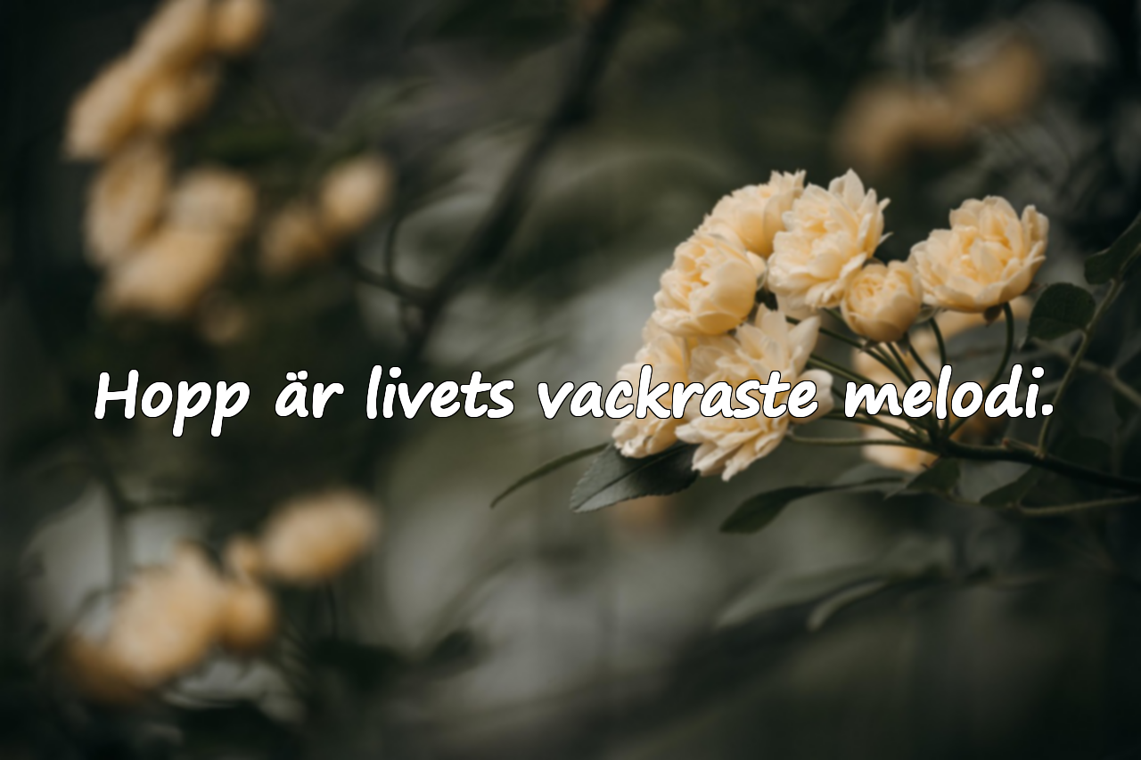 Vackra citat om hopp