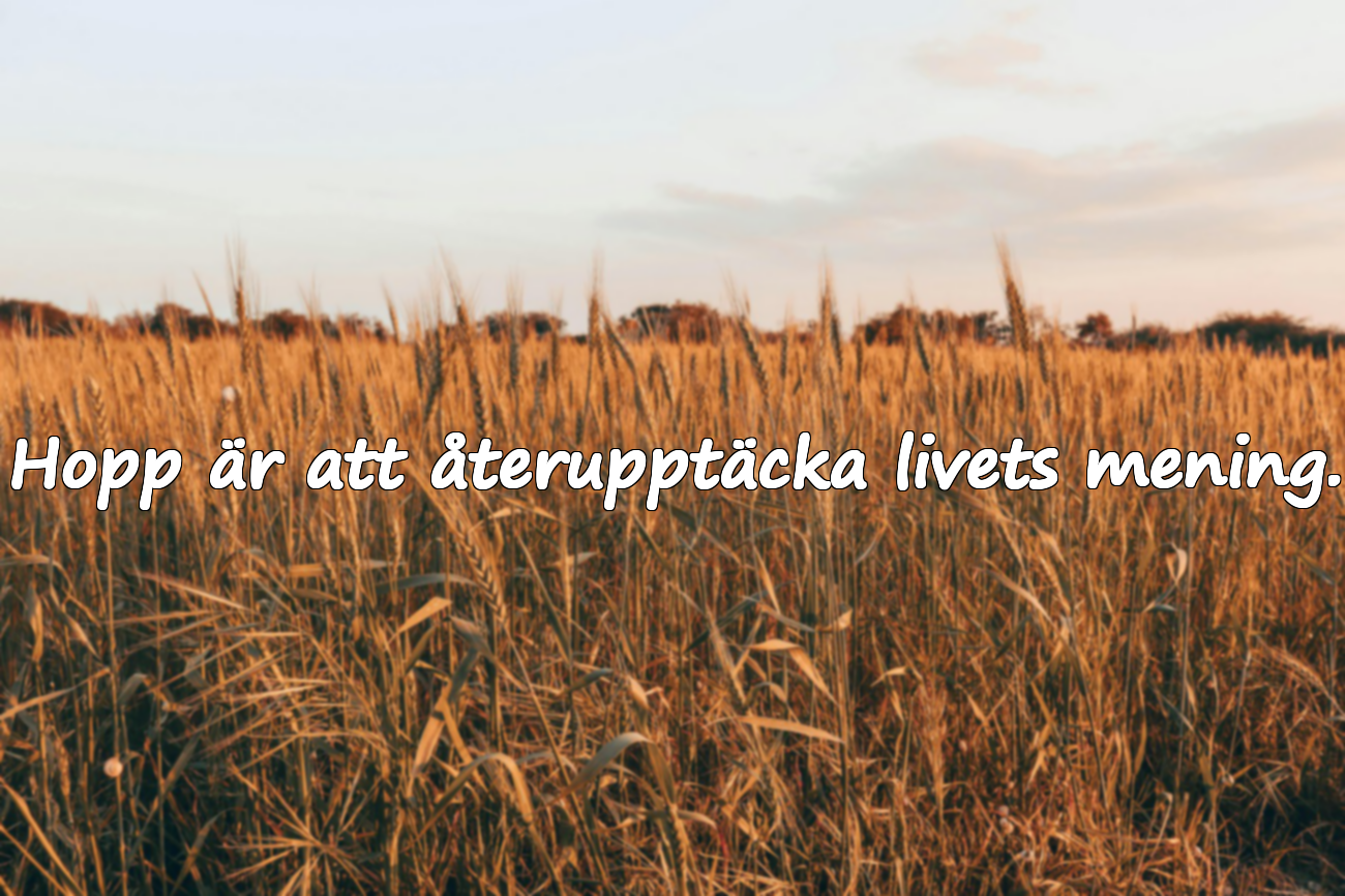 Vackra citat om hopp