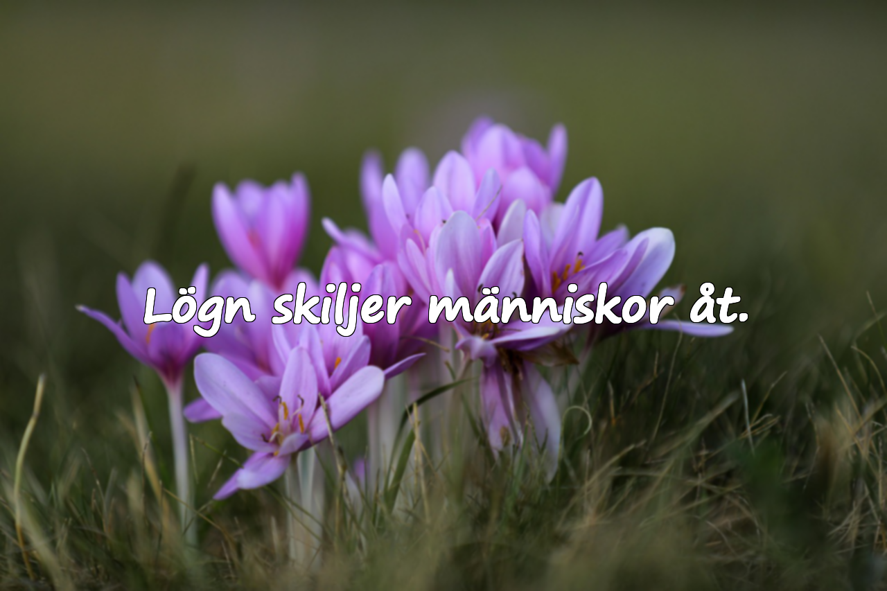 Vackra citat om lögn