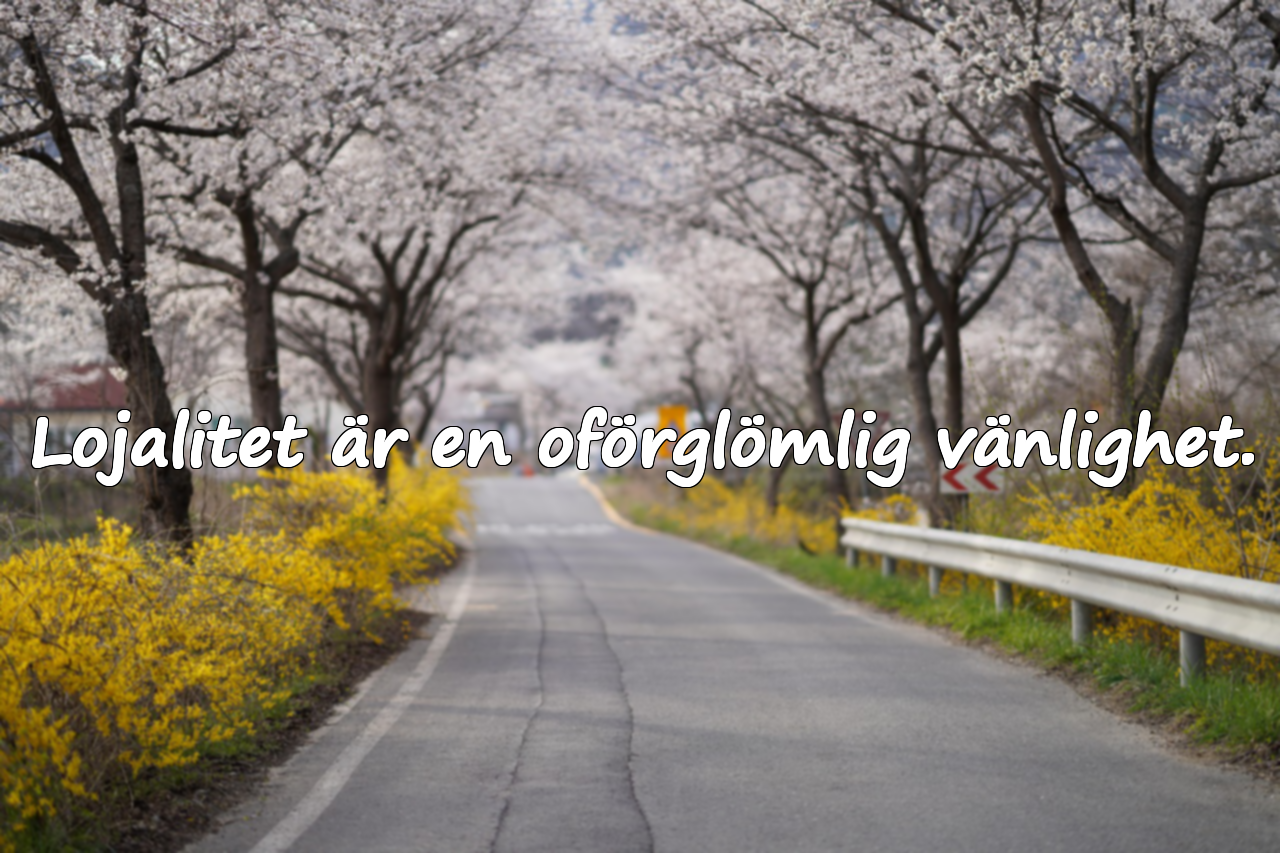 Vackra citat om lojalitet