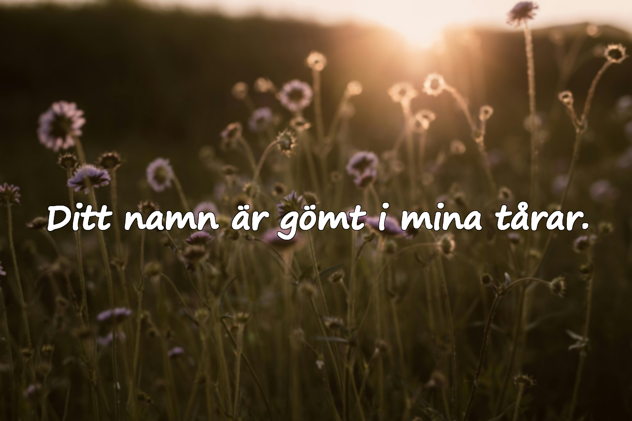 Vackra ord om längtan och saknad