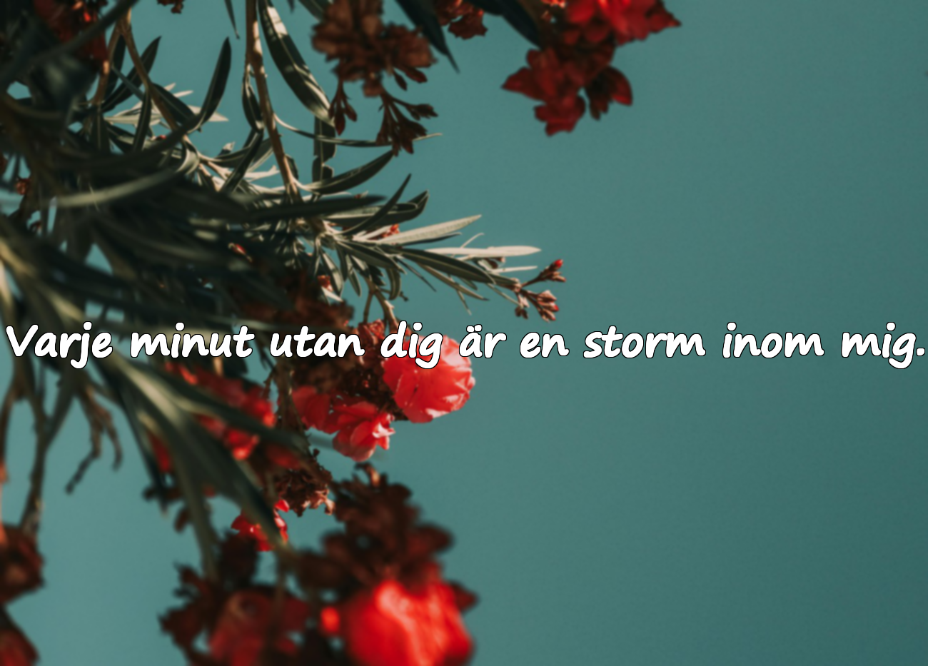 Vackra ord om längtan och saknad