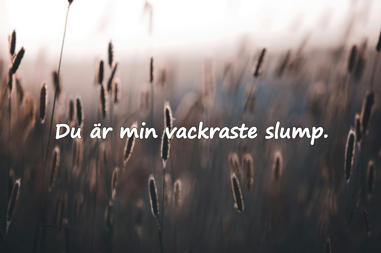 Vackra ord till din maka/make