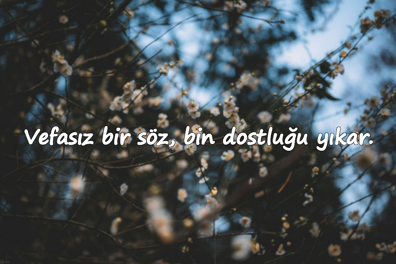 Vefasız bir söz, bin dostluğu yıkar.