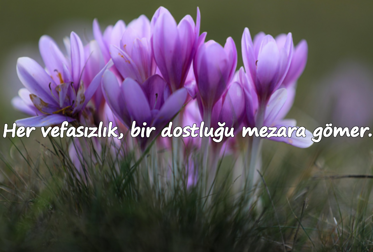 Her vefasızlık, bir dostluğu mezara gömer.