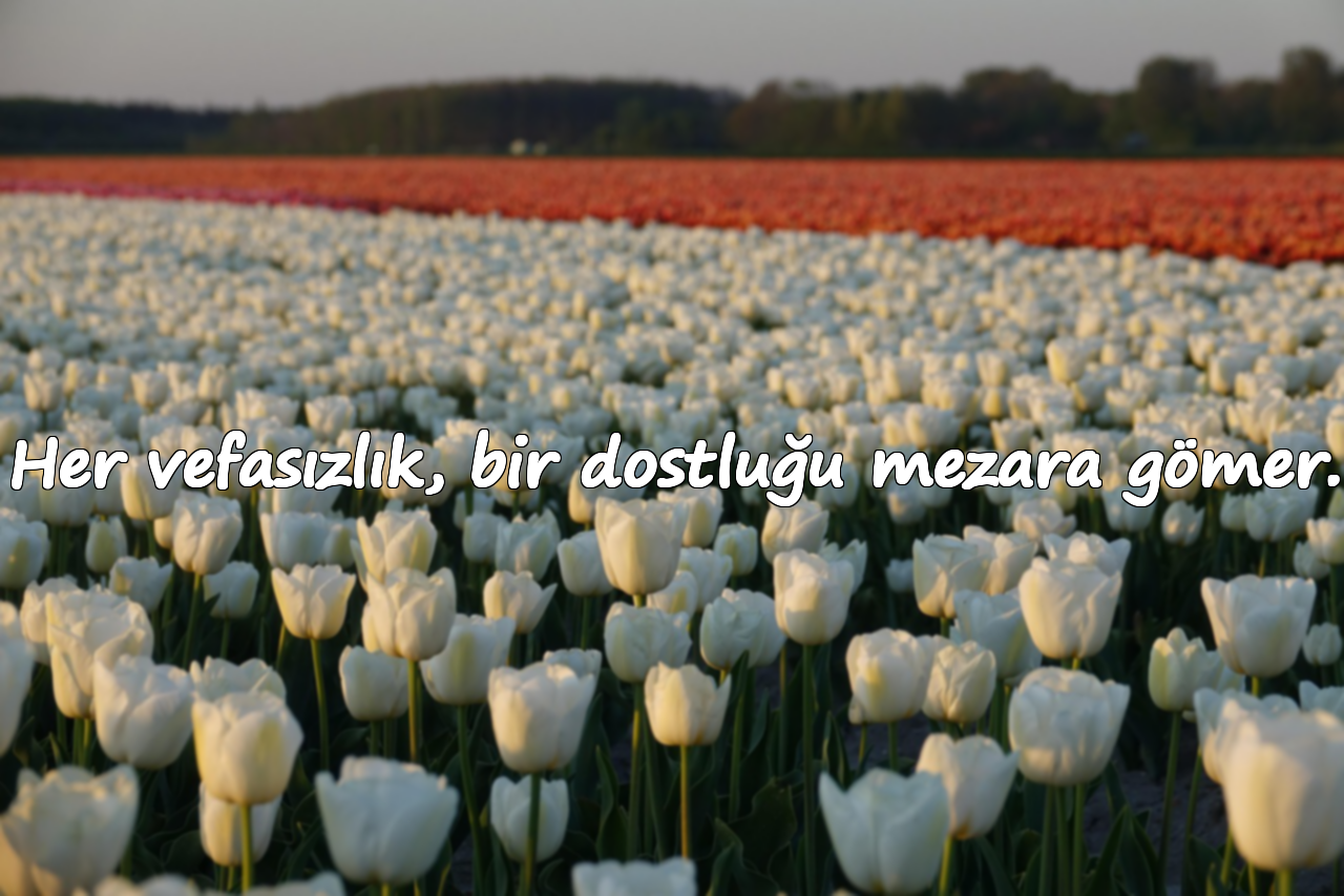 Her vefasızlık, bir dostluğu mezara gömer.