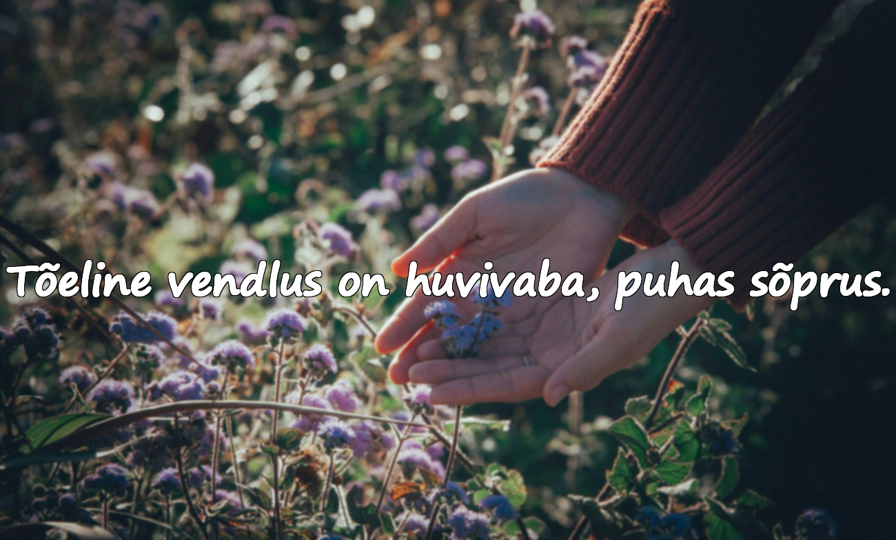 Vendlusesõnad