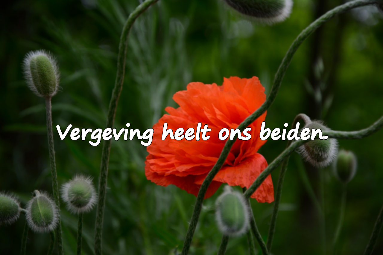 Vergevingswoorden voor mijn liefste