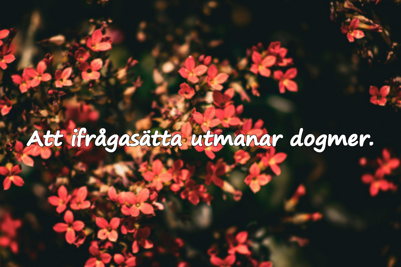 Vetenskaplig grund för ifrågasättande