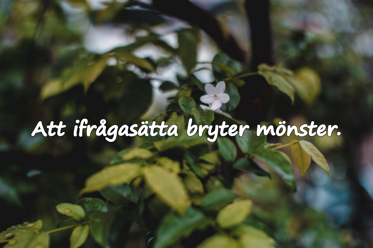 Vetenskaplig grund för ifrågasättande