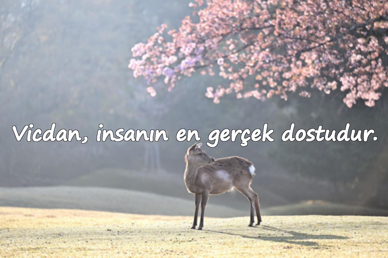 Vicdan, insanın en gerçek dostudur.