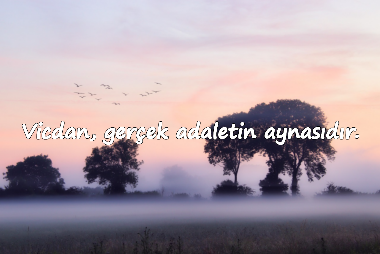 Vicdan, gerçek adaletin aynasıdır.