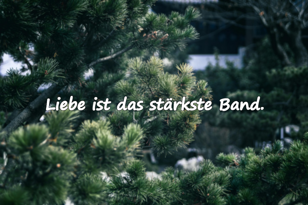 Liebe ist das stärkste Band.
