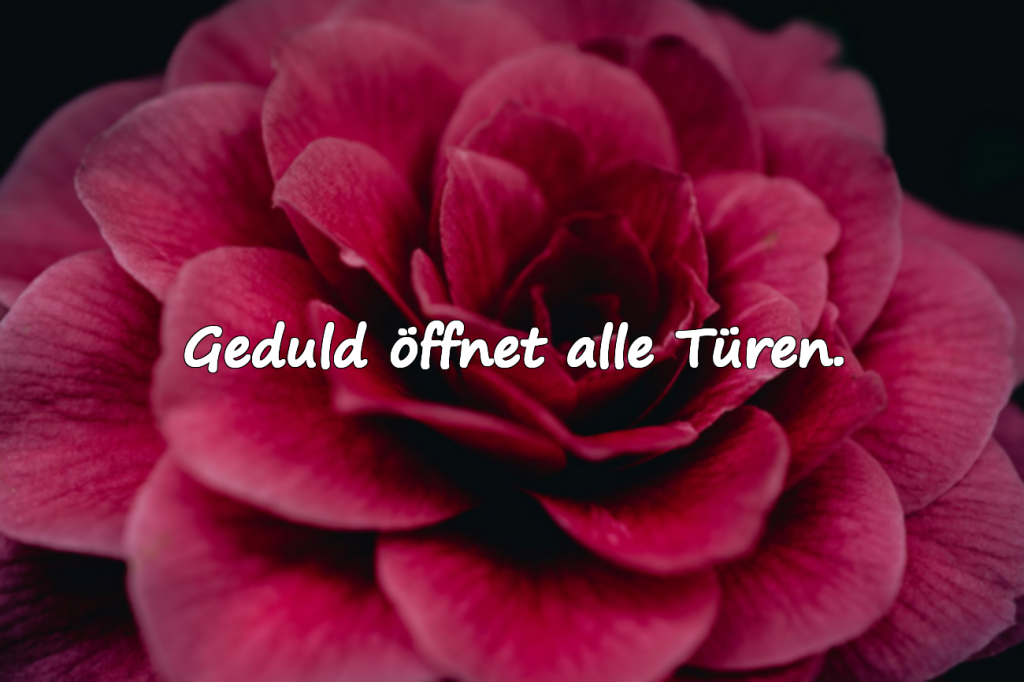 Warten und Erwartung – Zitate