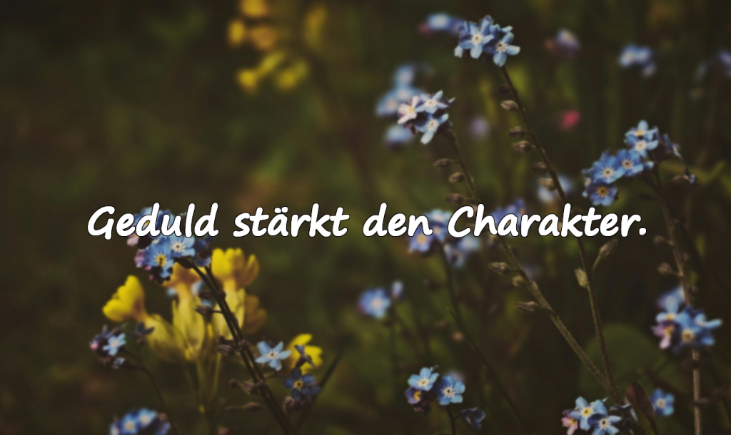 Warten und Erwartung – Zitate
