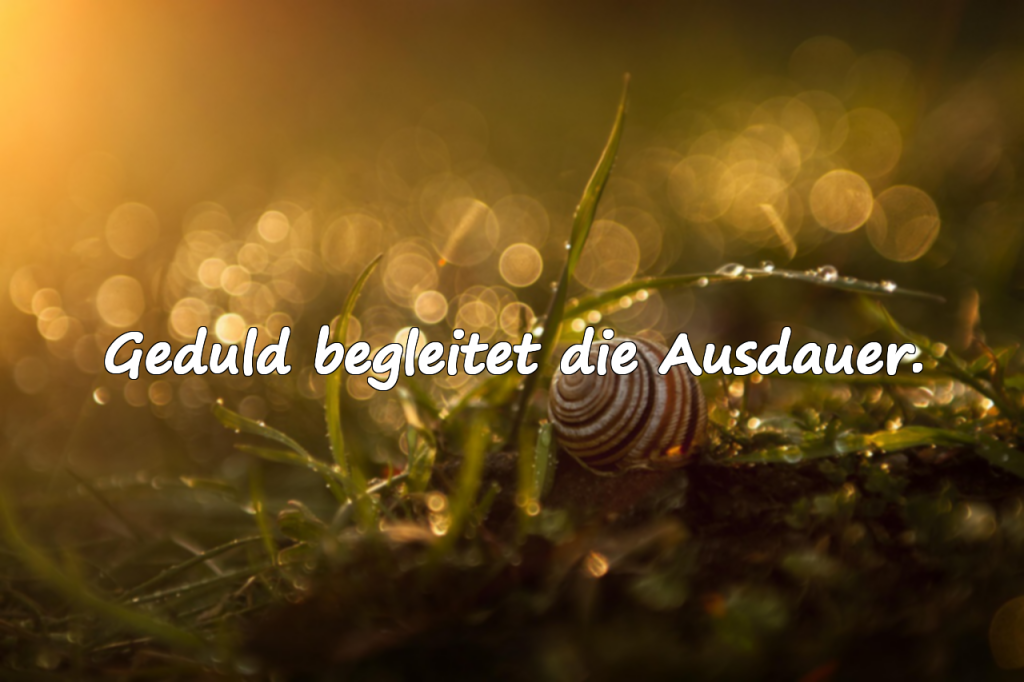 Warten und Erwartung – Zitate