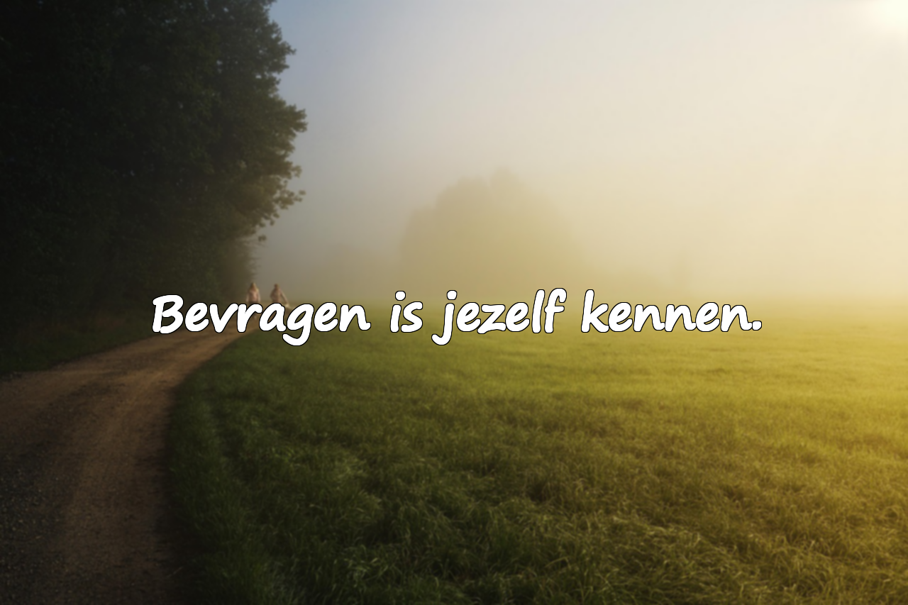 Wetenschappelijke basis van het bevragen