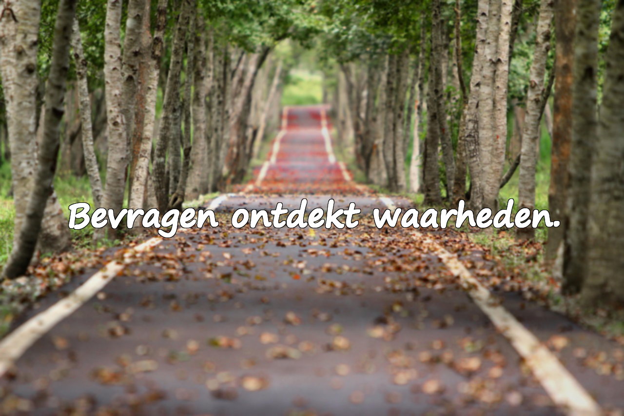 Wetenschappelijke basis van het bevragen