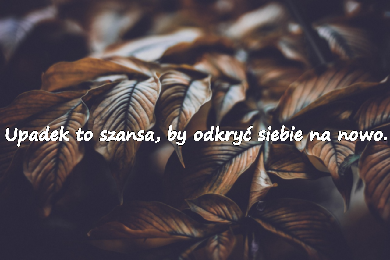 Więcej o upadku