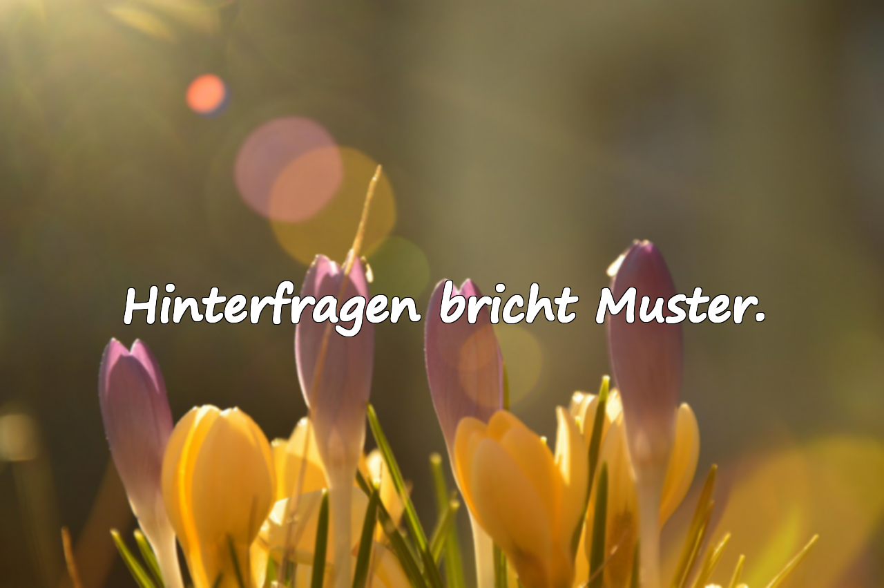 Hinterfragen bricht Muster.