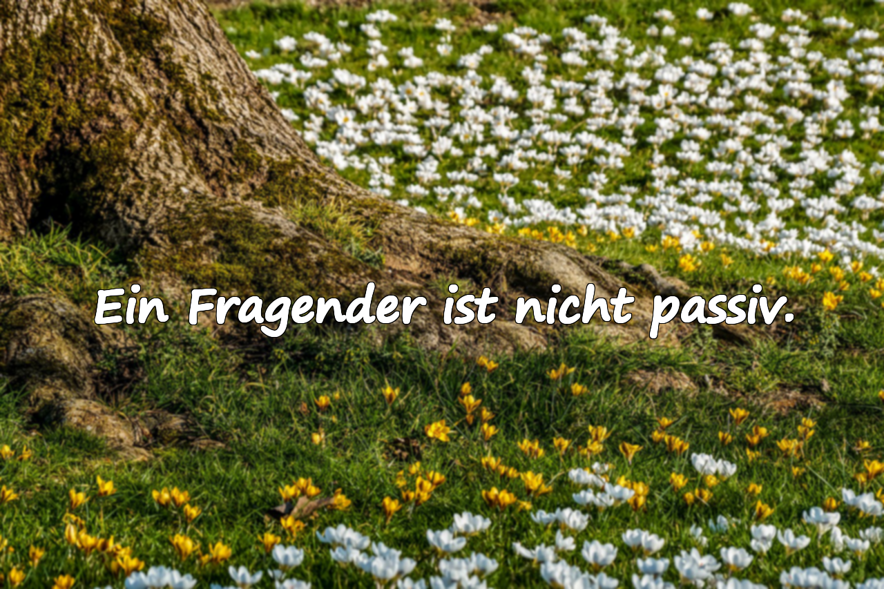 Ein Fragender ist nicht passiv.