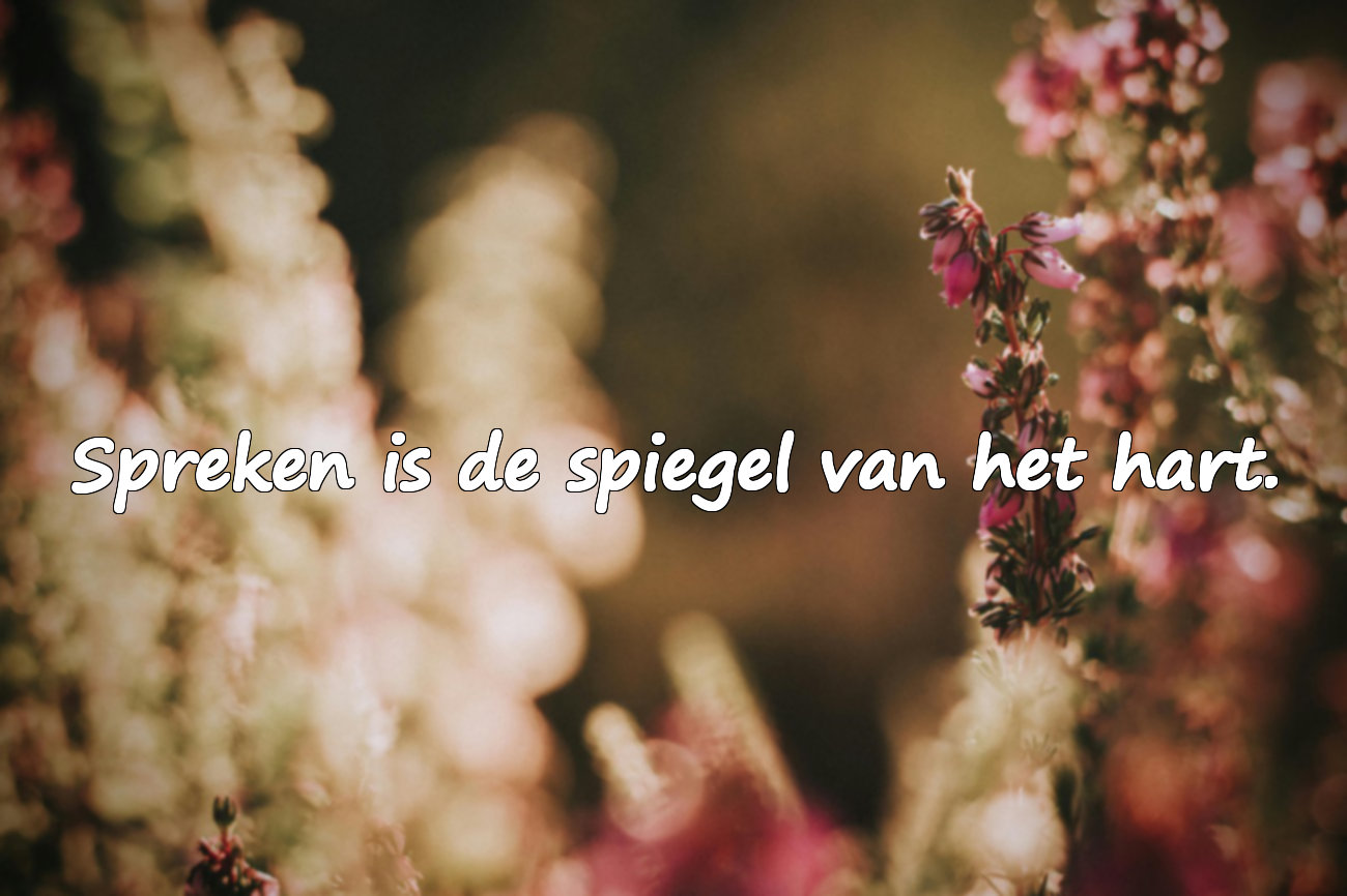 Woorden Over Spreken